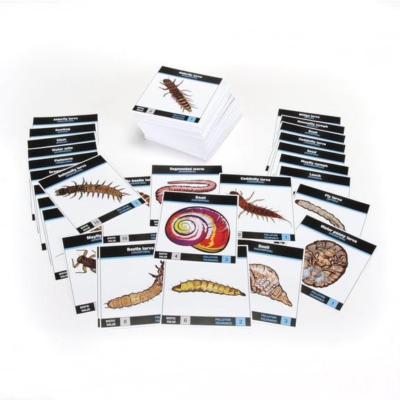 Carolina Aquatic Macroinvertebrate Card Set