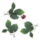 thumbnail image 1 of Uxcell 3-Pack Almohadón de Hoja para Peces Betta, Almohadón de Planta en Forma de Hoja, Cama de Descanso para Peces para Decoraciones de Acuario [Verde, en Forma de Hoja], 1 of 7
