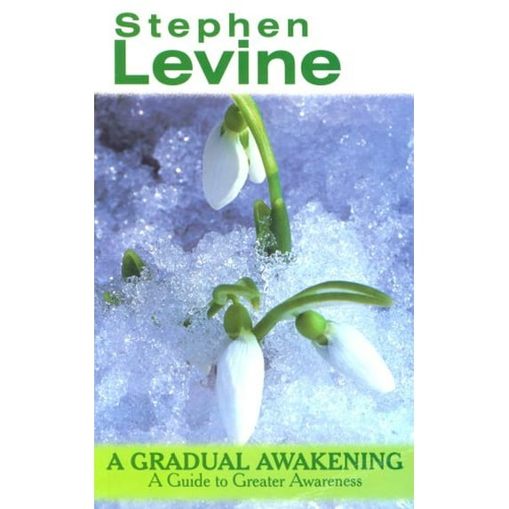 Pre-Owned A Gradual Awakening (Paperback) 0946551901 9780946551903