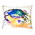 thumbnail image 3 of Betsy Drake NC263 16 x 20 in. Green Crab No Cord Pillow, 3 of 3