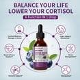 thumbnail image 4 of Cortisol Supplements for Women Men, Cortisol Reducer Detox Manager w/ Magnesium, Ashwagandha, L-theanine, Hormone Balance Liquid Drops Mood, Focus, Sleep Support - 4 Fl.oz, Blueberry Flavor, 4 of 7