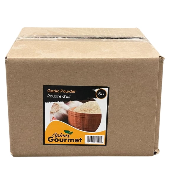 Apna - Ginger Powder - 1ct - 5lb - Authentic Restaurant-Grade Ground Ginger with Sharp Pungent Warmth and Citrus-Zesty Depth (1ct)