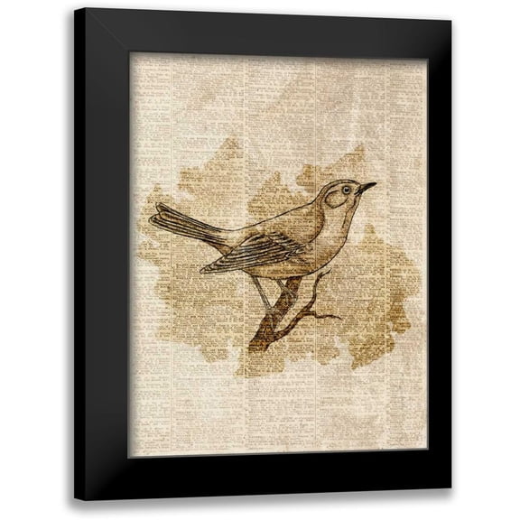 Studio, Sd Graphics 12x14 Black Modern Framed Museum Art Print Titled - Vintage Bird II
