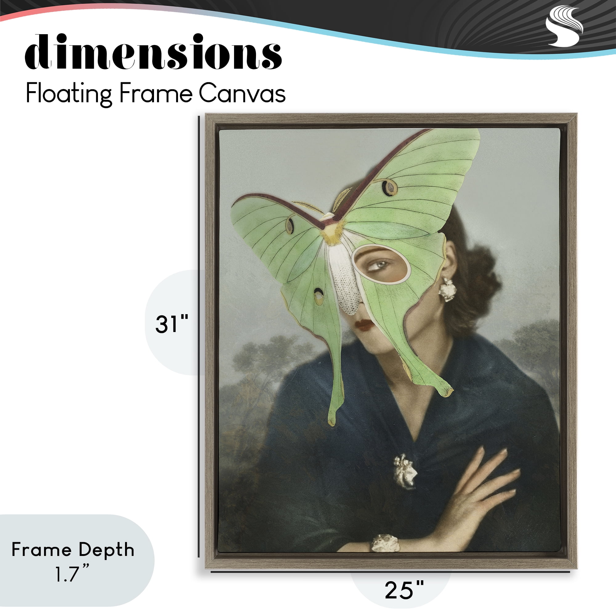 Stupell Industries Naturalist Portrait with Moth Brown Framed Floater Canvas Wall Art, design by Victoria Barnes