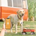 thumbnail image 4 of 4 Pack Waterproof AirTag Keychain Case for Apple AirTag Dog Cat Collar Tracker Keychain Soft Full Body Shockproof Locator Protective Cover, 4 of 5