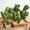 Green, variant on Artificial Cactus Decor Faux Cactus Plant Fake Succulents Plants Artificial Cacti 8 Pieces Unpotted Indoor Home Décor Fake Cactus Stems