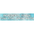 Crown Prince, Tuna, Tongol Chunk Light in Spring Water - Walmart.com
