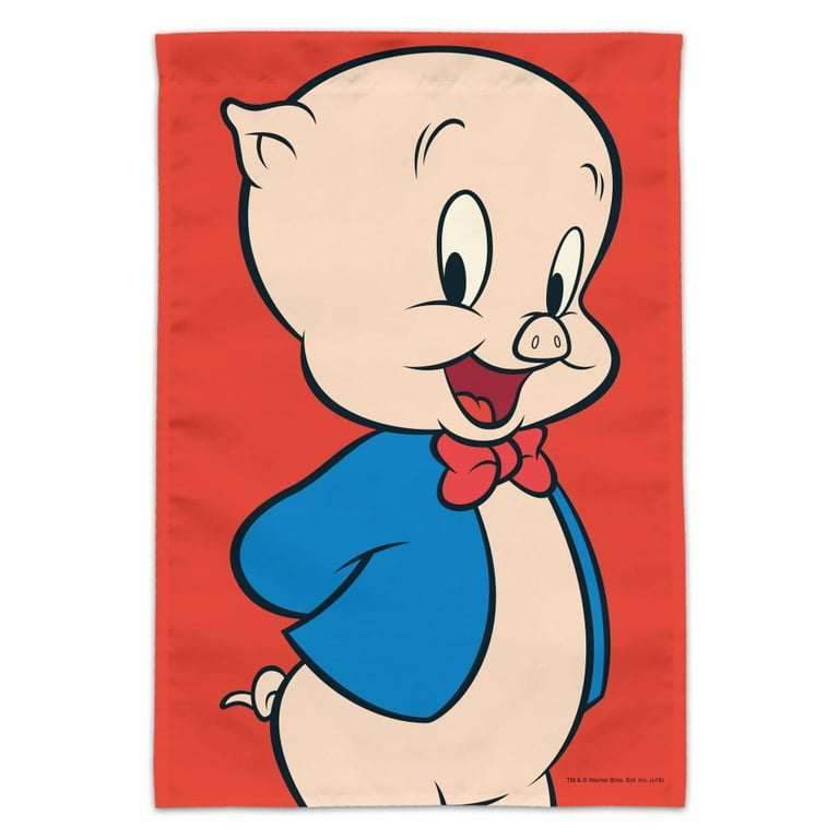 Looney tunes cheap porky pig