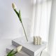 thumbnail image 5 of Florero de acrílico, florero Florero decorativo de acrílico moderno Florero ondulado Características de vanguardia, 5 of 8