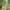 Sage Green, variant on Airwalk Men's & Big Men's Sherpa Zip-Up Sweatshirt, Sizes XS-3XL