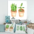thumbnail image 3 of Designart 'Ficus and Sansevieria Indoor Green Home House Plants' Traditional Framed Art Print, 3 of 4