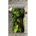 thumbnail image 3 of Ambesonne Tree Quilted Bedspread Set 2 Pcs, Moss Jungle Wildlife, Twin Size, Green Brown, 3 of 3