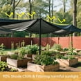 thumbnail image 7 of Shade Cloth for Garden - Duslogis 90% Sunblock Shade Cloth Black Mesh Tarp 6.5 x 10 FT Sun Shade Cloth Sun Cover Sunshade Net for Outdoor, Garden, Patio, Plant, Greenhouse, 7 of 7
