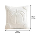 thumbnail image 2 of LSLXA Fall Pumpkins Throw Pillow Cover Decorative Couch Pillow Covers 18X18 Pillow Cover For Autumn Thanksgiving Halloween Home Decor, 2 of 4