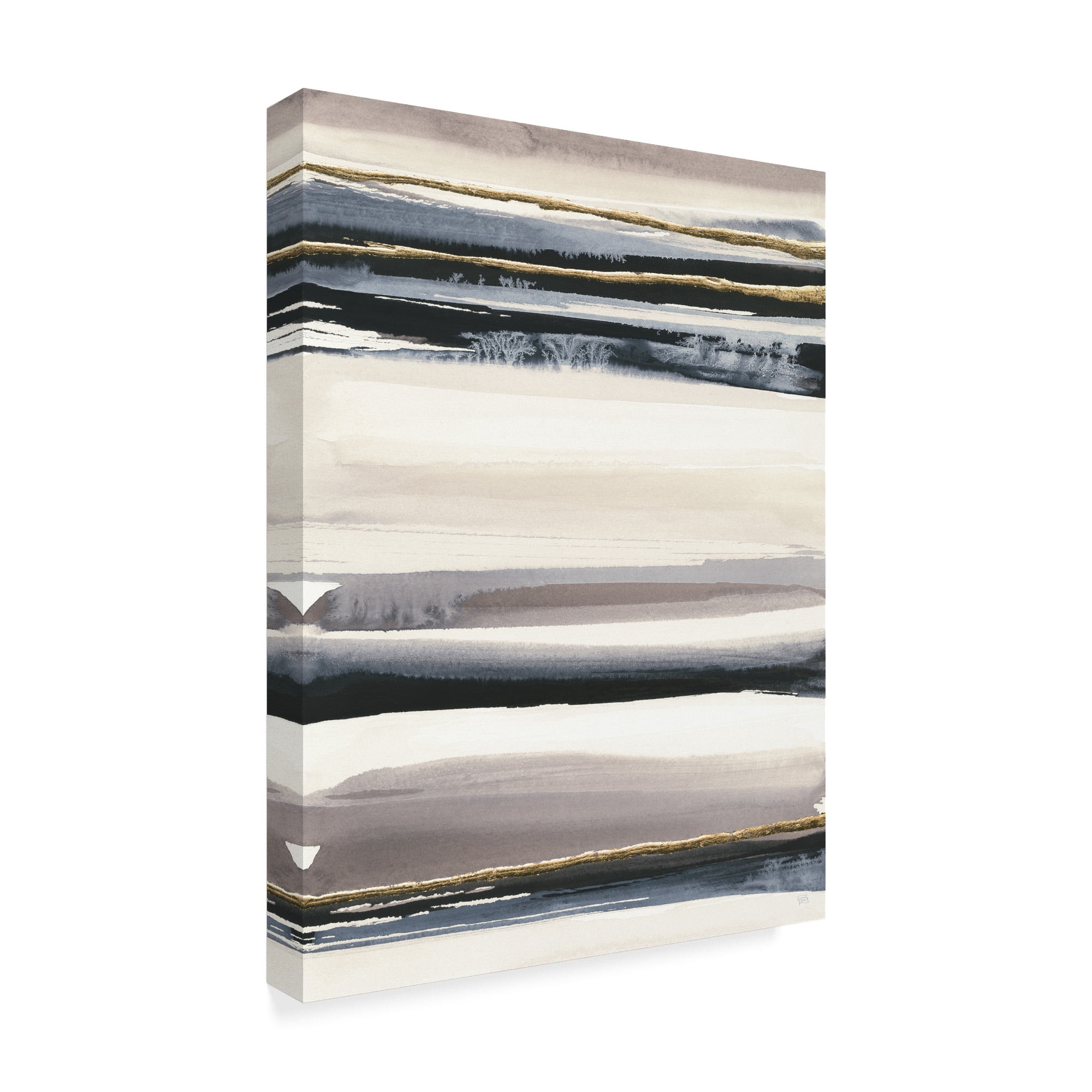Trademark Fine Art 'Gilded Grey III' Canvas Art by Chris Paschke