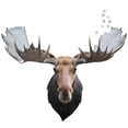 thumbnail image 2 of Madd Capp Puzzle - I AM Moose, 2 of 2