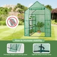 thumbnail image 4 of HomGarden 3 Tiers 6 Shelves Mini Walk-in Greenhouse Canopy, 4 of 10