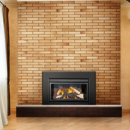 Napoleon Gi3600 4sb 24000 Btu Insert Direct Vent Natural Gas
