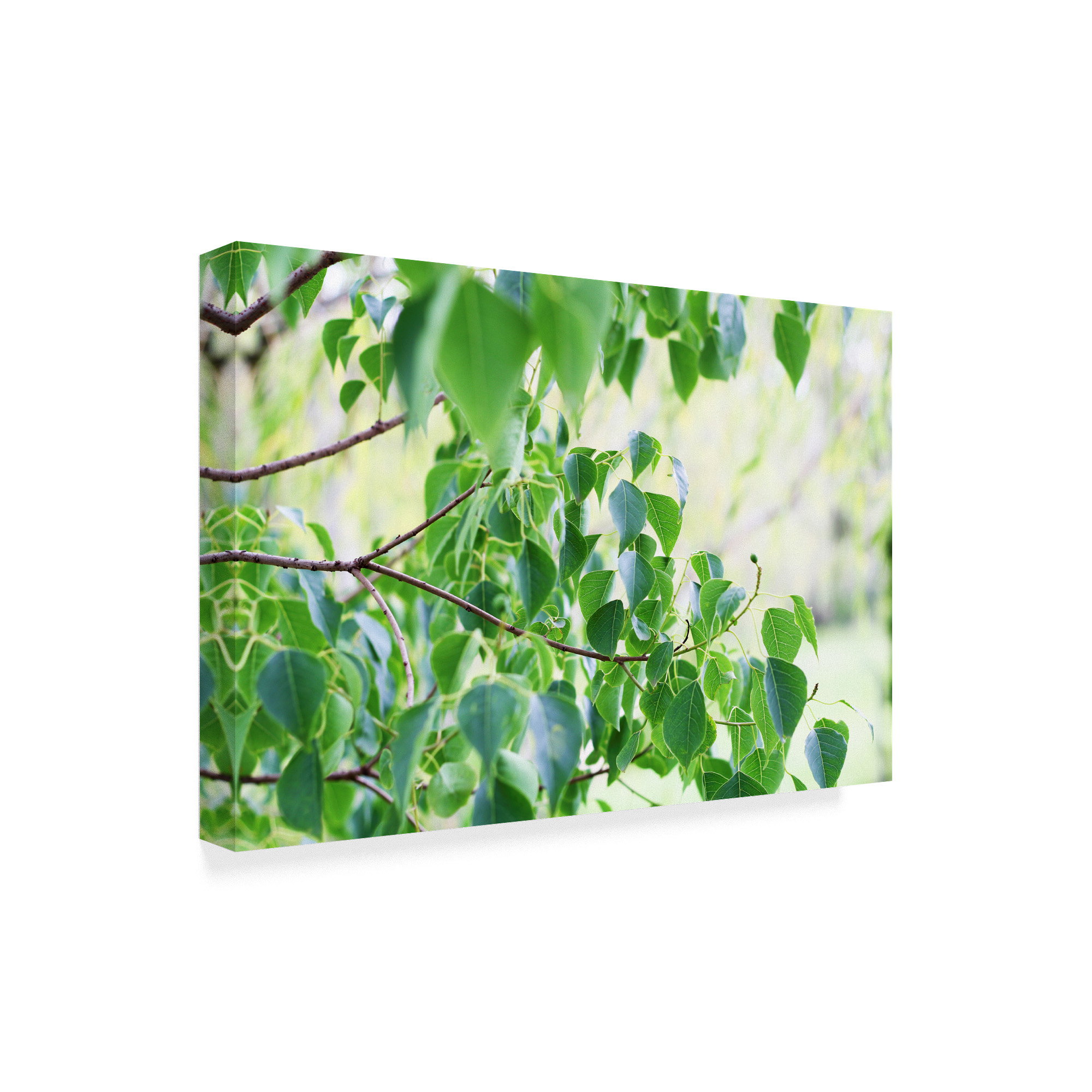 Trademark Fine Art 'When Summer Starts' Canvas Art by Incredi