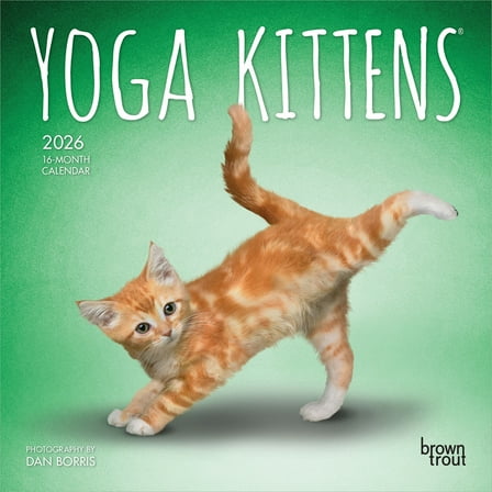 Yoga Kittens OFFICIAL | 2026 7x14" (Hanging) Mini Wall Calendar