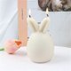 thumbnail image 2 of Easter Bunny Silicone Moulds, 3D Rabbit Candle Moulds, Soap Moulds, Silicone Baking Mould, Ears, Rabbit Mould for Cake, Chocolate, Soap, Wax Candles, 2 of 3