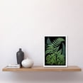 thumbnail image 2 of Fern Fronds Ernst Haeckel Style Dark Illustration Artwork Framed Wall Art Print A4, 2 of 4