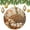 pattern-2852, variant on Christmas Ornaments Cute Hedgehog Funny Christmas Ornaments Christmas Decorations Ceramic Ornaments Mother Hedgehog With Her Baby Ceramic Ornament