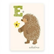 Echidna | ABC Card