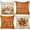 Orange, variant on Fall Pillow Covers 18x18 inch Set of 4 Pumpkin Maple Leaf Hello Pumpkin Happy autumn Decorative Throw Pillow Case Autumn Thanksgiving Farmhouse Orange Decoration for Home couch