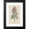 thumbnail image 2 of Jan Jacob Goteling Vinnis 13x18 Black Modern Framed Museum Art Print Titled - Bloenda Corydalis Bulbosa (1831 - 1900), 2 of 5