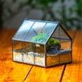 thumbnail image 5 of NCYP Handmade Mini Closed House Shape Terrarium with Lid and Latch, Terrarium Only, 5 of 13