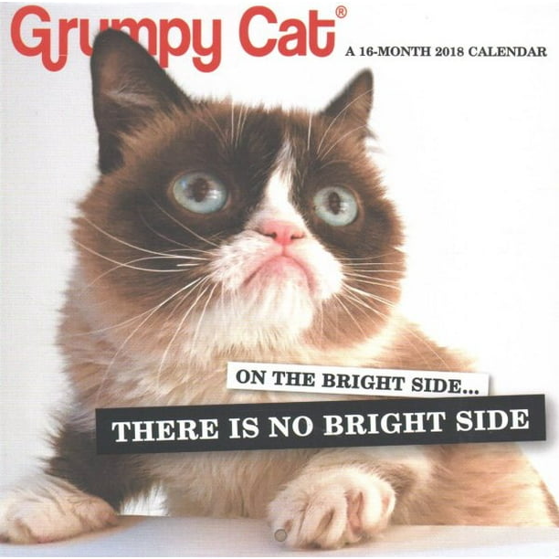 Grumpy Cat 2018 Calendar - Walmart.com - Walmart.com