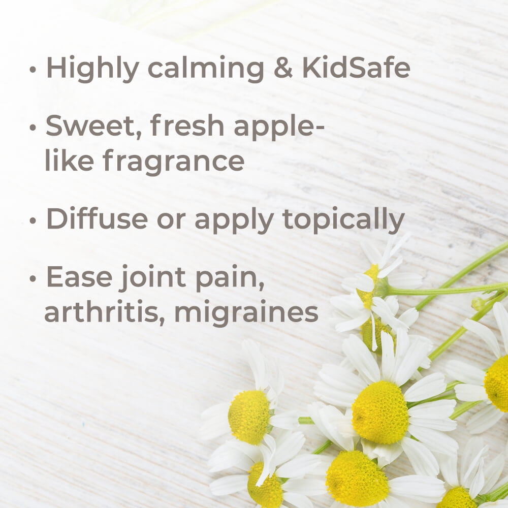 Plant Therapy Organic Roman Chamomile Essential Oil 5 mL (1/6oz) 100% Pure, Undiluted, Therapeutic Grade