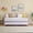 Purple, variant on COZONY Twin Metal Daybed, Single Bed Frame with Arched Headboard, Living Room, Bedroom, Space-Saving, Max Load 350lbs, Black