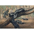 thumbnail image 3 of Joseph Wolf 24x18 Black Modern Framed Museum Art Print Titled - The Ratels (1861-1867), 3 of 5