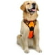 thumbnail image 1 of Arnés para perros naranja, antitirones, ajustable y reflectante, fácil de poner, con enganche frontal, talla mediana., 1 of 5