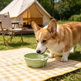 thumbnail image 5 of FEOLGEHLY Slow Feed Travel Dog Bowl Pet Bowl, Non Skid Collapsible Silicone Slow Feeding Food Water Bowl for Small Dogs and Cat Bowls for Indoor Cats Outdoor Portable Pet Dining Supplies, 5 of 6