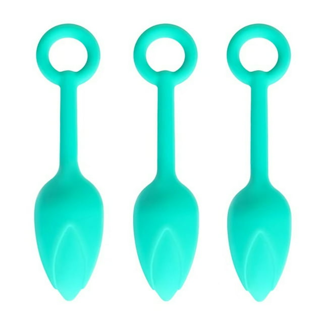 Postpartum Pelvic Floor Trainer Vaginal Dumbbells for Female Muscle Rehabilitation and Wellness Recovery System 3PCS