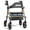 Champagne Gold, variant on HOMLAND Foldable Rollator Walker with Memory Foam Seat for Seniors, 350 lb. Capacity Heavy-Duty Mobility Walker, 8'' Big Wheels, Red