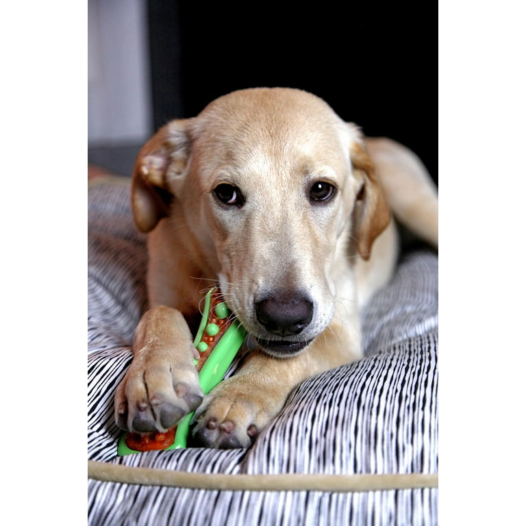 Premium Pet Toys for Dogs - Suppliers, Distributors, Manufacturers