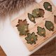 thumbnail image 2 of Rompecabezas de hojas Montessori QTOYS AUSTRALIA 496, 2 of 2