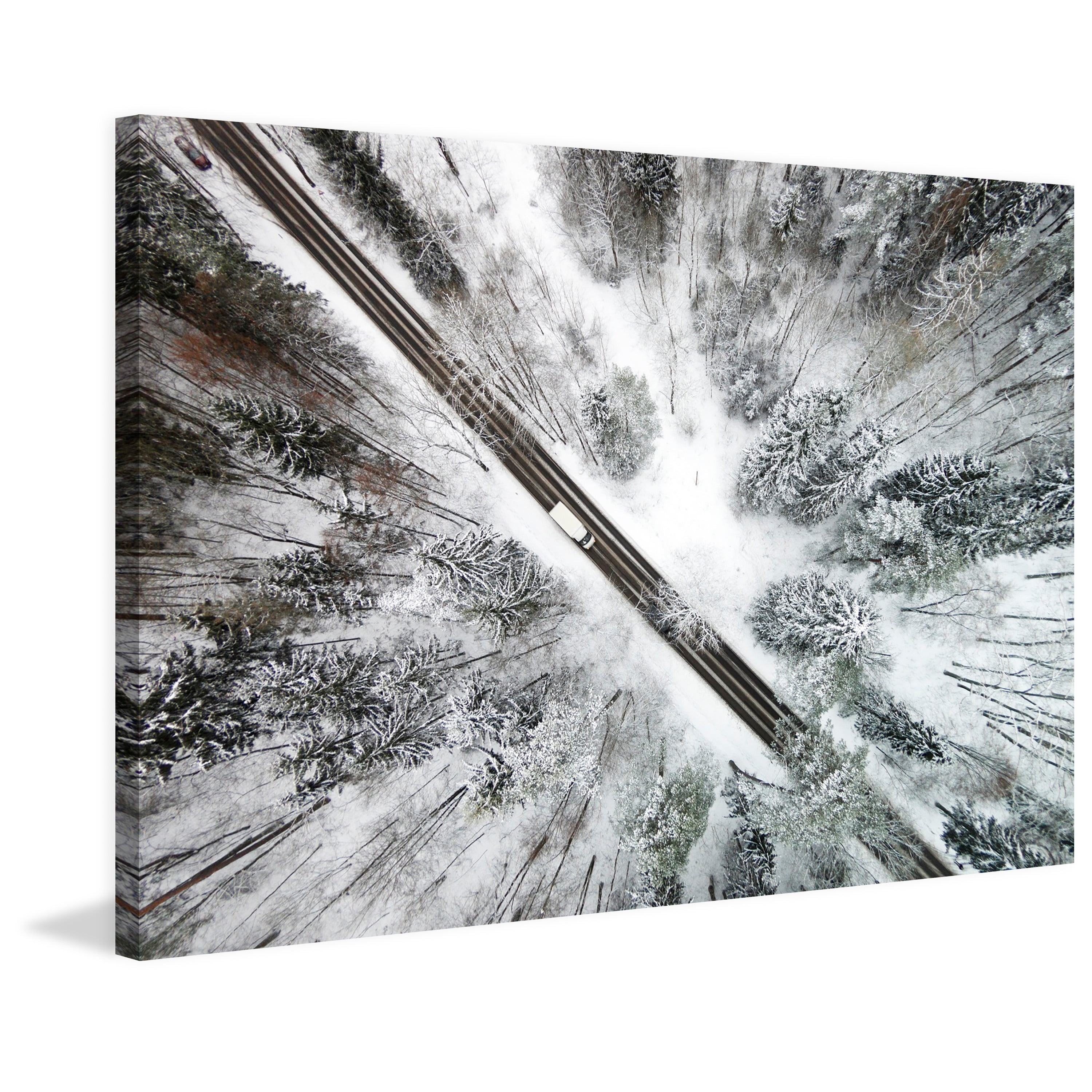 Marmont Hill "Icy Forest" by Karolis Janulis Painting Print on Wrapped Canvas