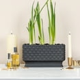 thumbnail image 3 of Creative Co-Op Ceramic Hobnail Planter with Scalloped Edge and Polka Dots, Black, 3 of 7