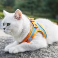 thumbnail image 6 of Soft Small Dog Harness and Leash Set - Step In Air Mesh Puppy Harness Adjustable Reflective No Pull Vest for Easy Walking Ideal for Small Dogs and Cats, 6 of 7