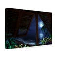 thumbnail image 2 of Murray Henderson Fine Art 'Tropical Dream Moon View' Canvas Art, 2 of 4
