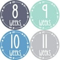 thumbnail image 1 of Months In Motion Pregnancy Weekly Belly Growth Stickers - Week to Week Pregnant Expecting Photo Prop - Maternity Keepsake - Baby Bump - Large Set of 36 Weekly Photo Sticker, 1 of 9