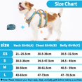 thumbnail image 2 of Huntboo Reflective Dog Harness with Handle, Escape Proof, No Slip, Breathable, Lightweight, Adjustable Lift Harness for Small, Medium, and Large Dogs Walking, Training, and Running Gear(Teal Blue,XS), 2 of 3