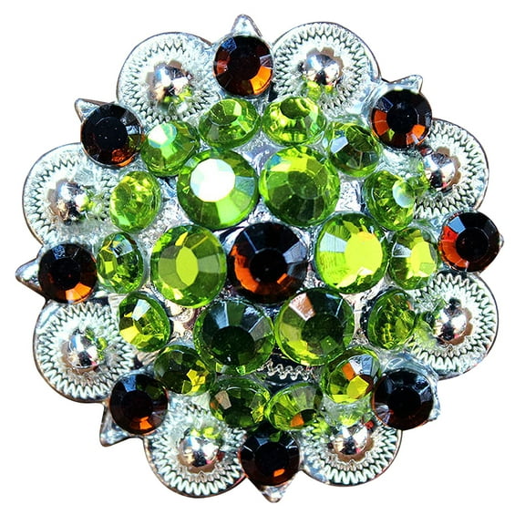 2 Hilason Western Berry Conchos Glass Rhinestones Bling 1.5" Tack cowgirl