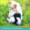 thumbnail image 4 of Paw Legend Reusable Female Dog Diapers(3 Pack,Black,Medium), 4 of 6