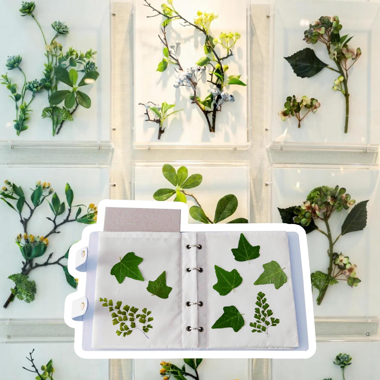 Flower Drying Press Book DIY Flower Drying Book Supplies 6 Layers ing 27x32cm for Art Crafts Invitation Card Decor 27cmx32cm Blue
